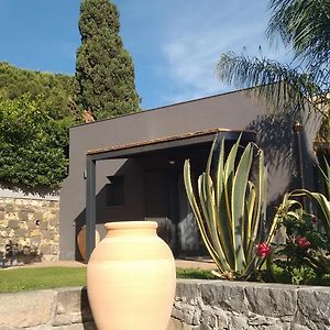 Avocado B&B Beyond